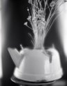 Kettle with sticks