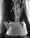 Kettle with sticks @f22