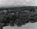 Deerpark-1