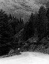 Mountain Road Goughan Varra