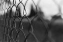 Fenced In