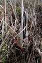 A walk on February 29th - 2