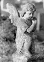 Nikon Cemetery 03