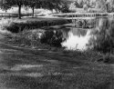 Lions Park-1