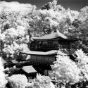 Kinkaku-ji
