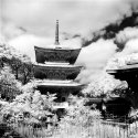 Sanju Pagoda
