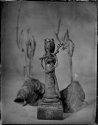 4x5 Wet plate still life