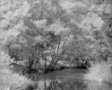 Yasutake Moat