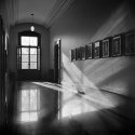 Legislature Light