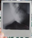 Accidental Selfie