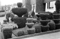 Topiary in my Road