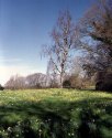 Warley Wildlife Reserve 05