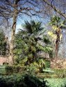 Warley Wildlife Reserve 03