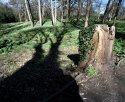 Warley Wildlife Reserve 02