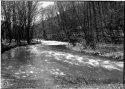 Freeman Run