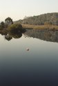 Tarn