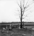 Holga3