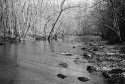 Little Duck River