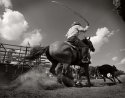 Rodeo