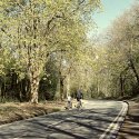 Spring Riders