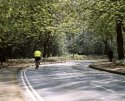 Lone Rider