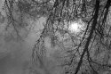 Corona_Reflection