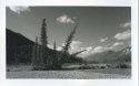 Kootenay River Valley Burn