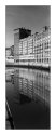 River Reflections