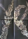 Lumen Ferns--