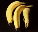 Bananas and Pear Still-Life 02