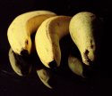 Bananas and  Pear Still-Life 01