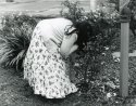 Smelling the Roses