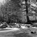 Left Branch of Asaph Run #2