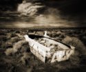The Ark