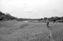 Standing in a field