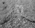 Mud & Stones