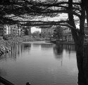 Centennial Lakes, 2015