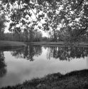 Another trip to Carburn Park