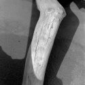 Wood, shadows, sand - 1