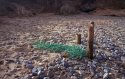 A confluence of objects
