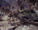 Eroded coast