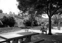 Local dog park