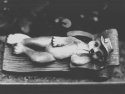 Agfa Ortho Document Film 01