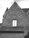 Agfa Ortho Document film 02