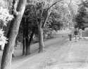 Graceland Cemetery