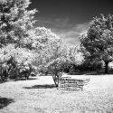 Rollei IR 400 With Tiffen #87 Filter Test #2