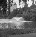 Spray Fountain