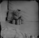 Domesticities #8