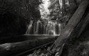 Rolley Falls - Logs