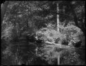 Dry Plate - The Lazy Summer Nissitissit